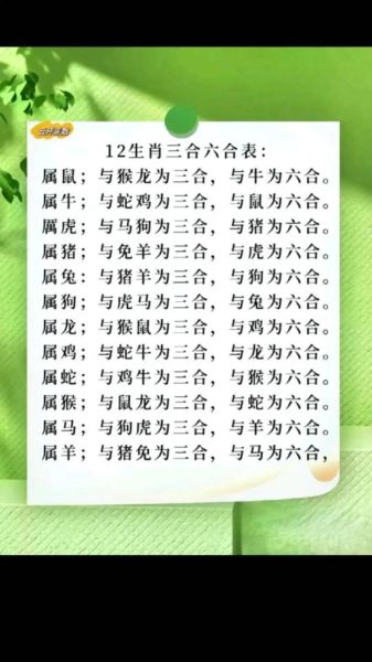 狗狗属相配什么生肖（狗狗最配属相是虎、兔、马吗？）