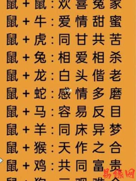 生肖鼠最佳配对属相配（生肖鼠最佳配对属相排行榜）