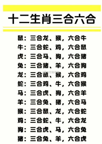 三大生肖什么属相最有钱（三大生肖谁最有钱？新手一看就懂）