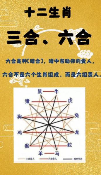 三大生肖什么属相最有钱（三大生肖谁最有钱？新手一看就懂）