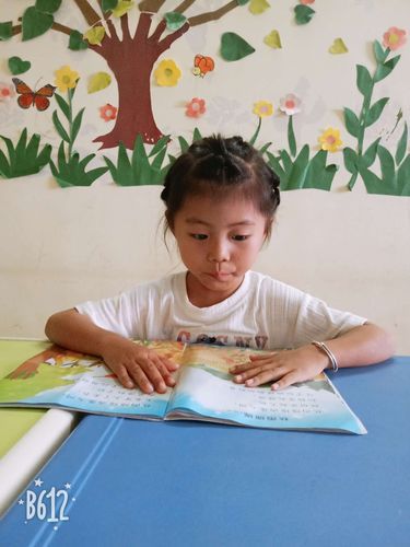 陈心怡属什么生肖属相(陈心怡属什么生肖查询)