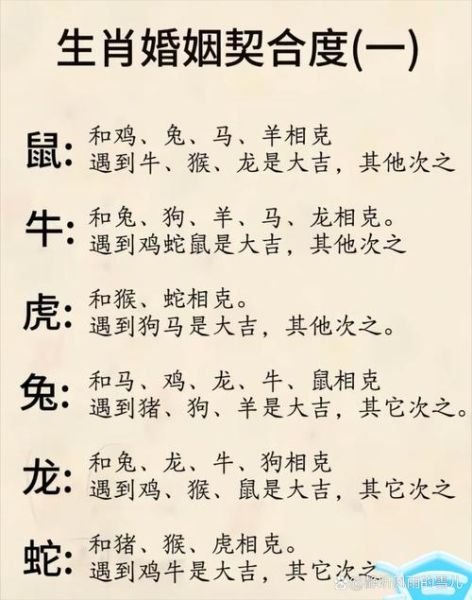 1属相是什么生肖(1属相是什么生肖?手把手教你看懂)