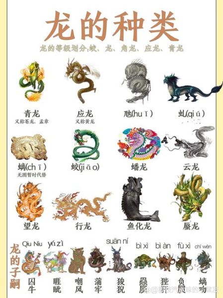 生肖龙与哪些属相最佳（生肖龙和什么属相最配）