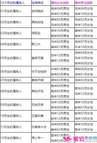 狗的最佳配合生肖属相（狗年婚配属相大解析）