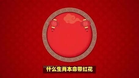红花是什么生肖属相（红花是什么生肖属相揭秘）