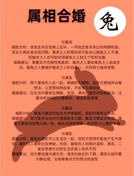 生肖兔忌配什么属相（生肖兔最忌配什么属相？新手避坑指南）
