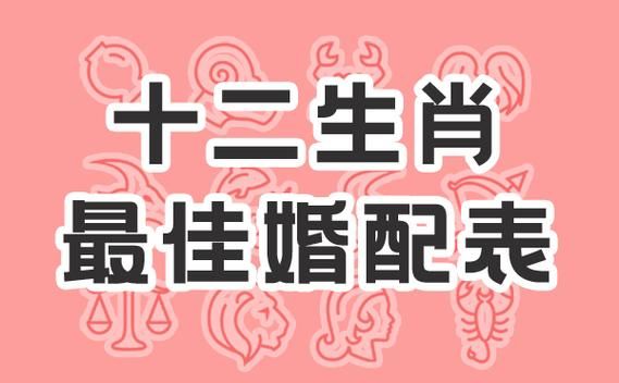 生肖鼠找什么属相对象好（生肖鼠最佳配偶属相）