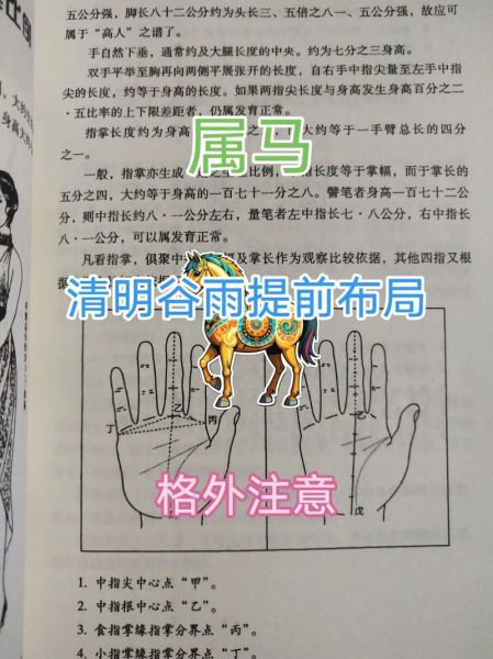 生肖马可以加什么属相（属马配什么属相最好？小白避坑指南）