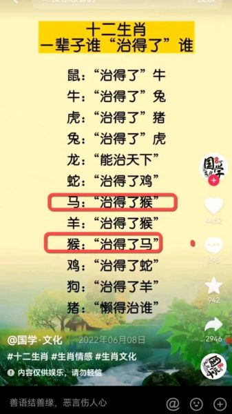 生肖猴子和哪个属相搭（生肖猴绝配生肖大揭秘）