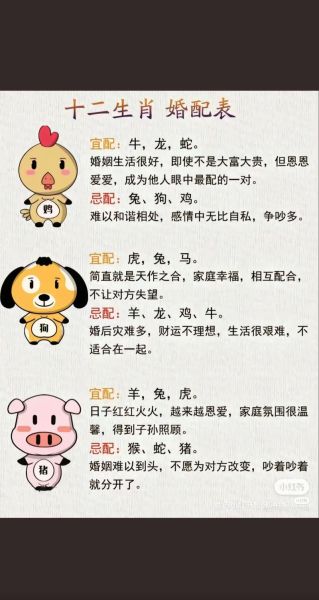 生肖血型属相（生肖血型属相匹配查询大全）