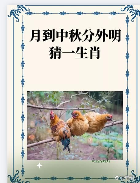 迷字最佳生肖属相（迷字猜一生肖正确答案是哪个）