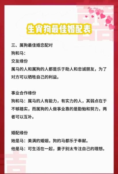 生肖狗属相搭配图片（生肖狗最佳婚配图鉴💘）