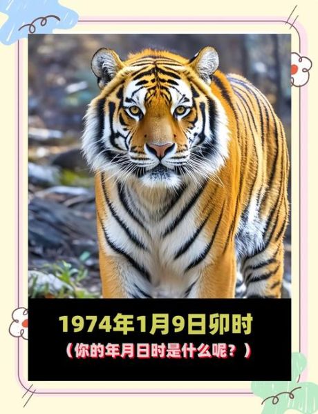 癸丑属什么生肖属相