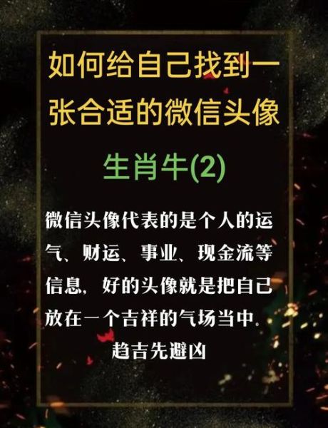 更改生肖属相怎么改（微信生日填错如何改生肖？）