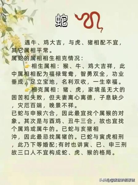 龙蛇生肖结合属相（龙蛇生肖合不合婚？）