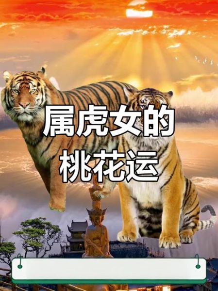 赵琳属什么生肖属相（赵琳属什么生肖🐯）