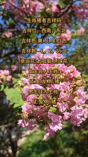 看花是什么属相的生肖（2025年看花是属猪的吉祥生肖吗？）