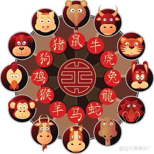 马属于什么家族生肖属相(马属于马科家族生肖属相)