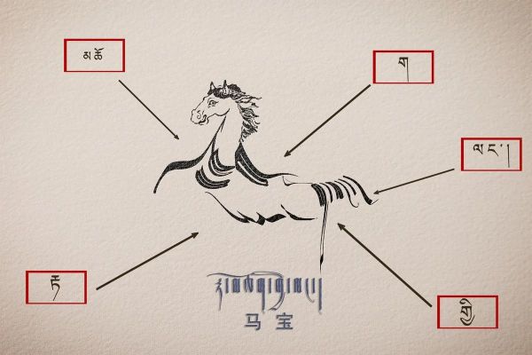 藏语十二生肖属相（藏语十二生肖读音全攻略）