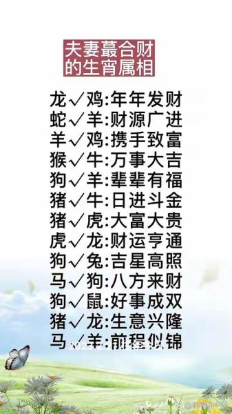 生肖风流属相（生肖风流的属相是啥？）