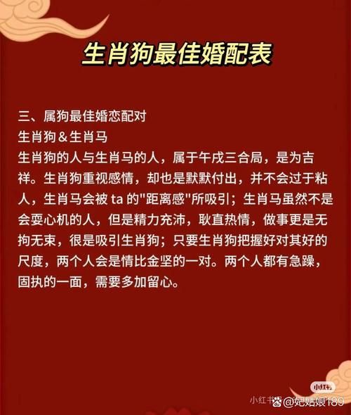 生肖狗跟哪些属相三和属相相配（属狗的六合三合生肖配对指南）