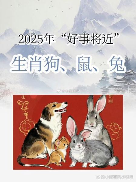 阿狗属什么生肖属相呢（阿狗属什么生肖？小白3分钟看懂）