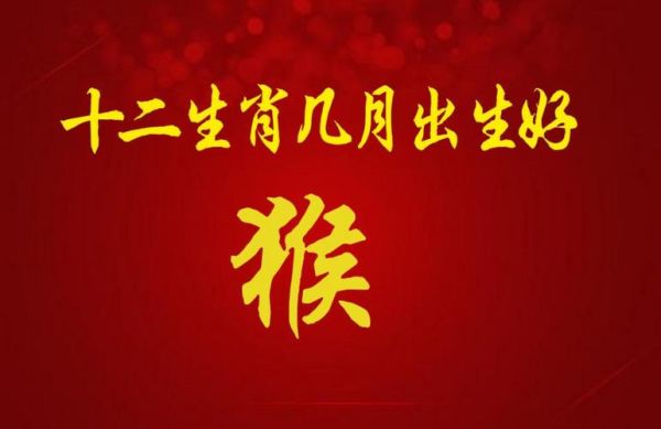 2016年是属什么生肖的属相（2016年属什么生肖？属猴！🐒）