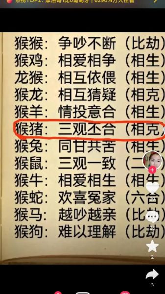 生肖猴和生肖猴配对属相婚配（生肖猴和生肖猴婚配好不好）