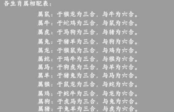 生肖马易吵架属相（生肖马和什么属相最容易吵架）