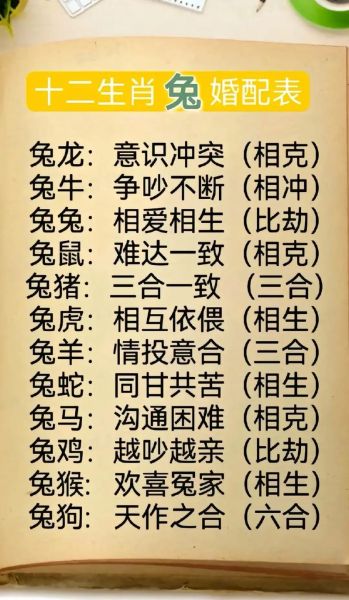 生肖兔配对属相婚配(生肖兔配对属相婚配表查询)