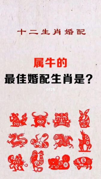 牛属相和什么生肖（牛属相和哪个生肖最合婚）