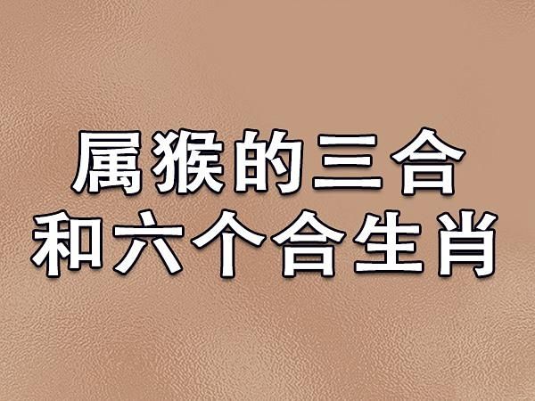 生肖猴和生肖属相(生肖猴和什么属相最配)