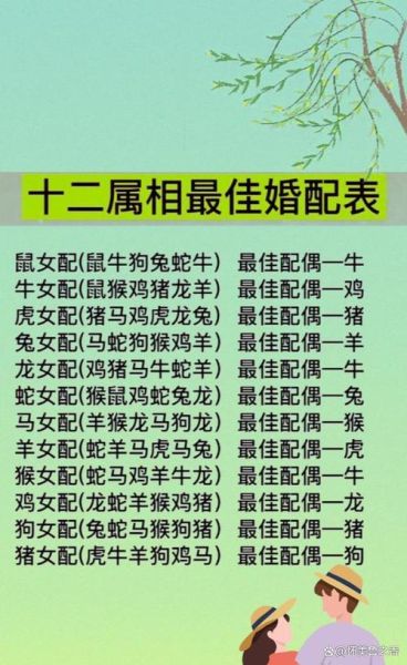 生肖鼠喜欢什么属相最好（属鼠最配属牛：新手速懂的生肖配对）