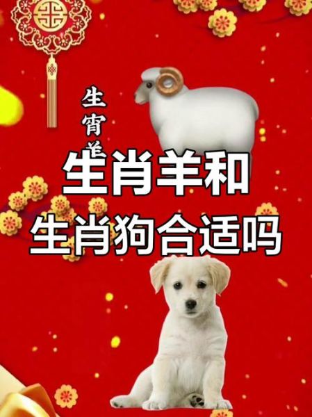 生肖属相配羊与狗（属羊与属狗的婚姻合吗）