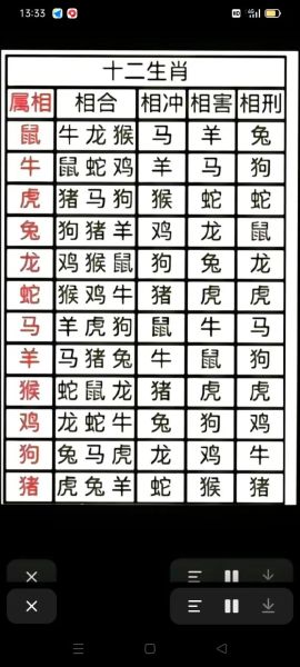 生肖属相磨合度是多少