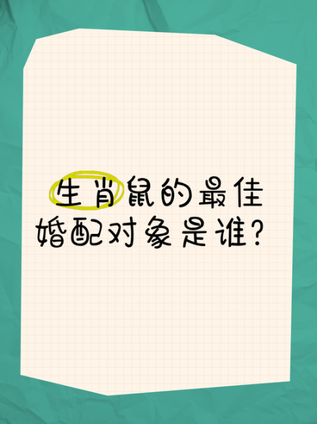 生肖鼠合适的属相（生肖鼠最佳配对属相有哪些）