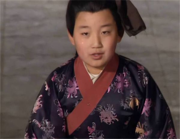 刘琮是什么生肖属相(刘琮属什么生肖?新手一看就懂)