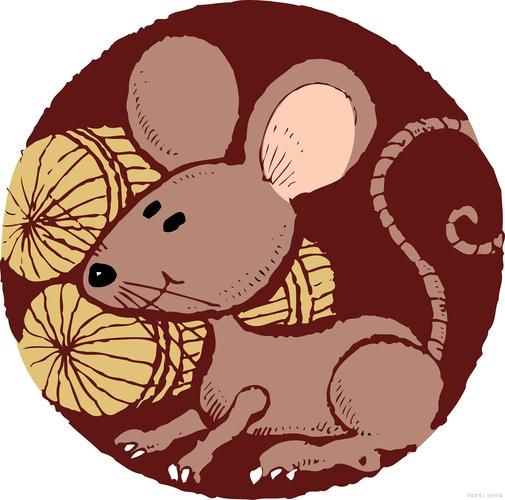 生肖属相鼠好吗（属鼠的人命运到底好不好）