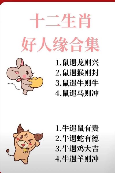 生肖属相搞笑(12生肖搞笑视频神回复)