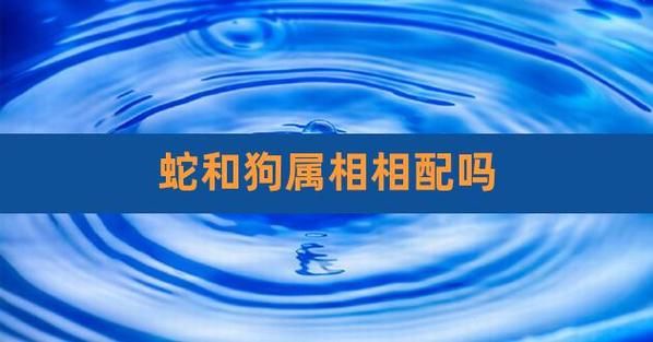生肖蛇与狗配对属相（生肖蛇狗婚姻合不合）