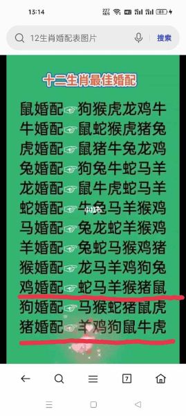 男鸡的婚配生肖属相（属鸡男最佳婚配生肖是谁？）