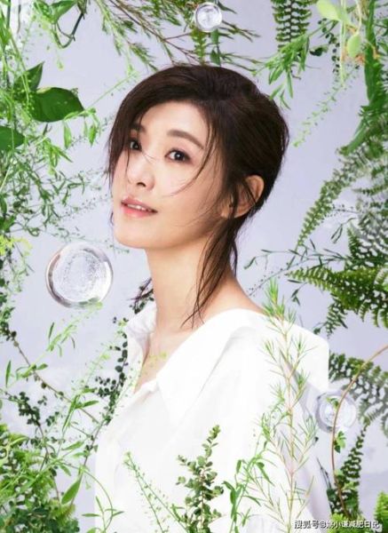 苏慧属什么生肖属相（苏慧生肖是什么属相）