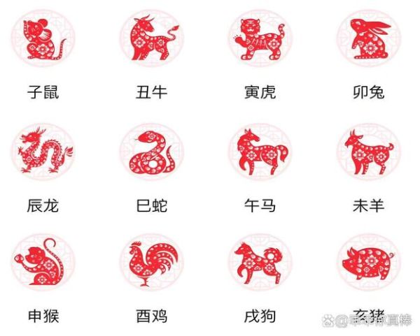 生肖属相财运排行表图片（财运最旺生肖排名图片📊）