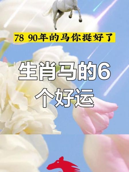 生肖马生日属相（生肖马生日属相到底算哪一天）
