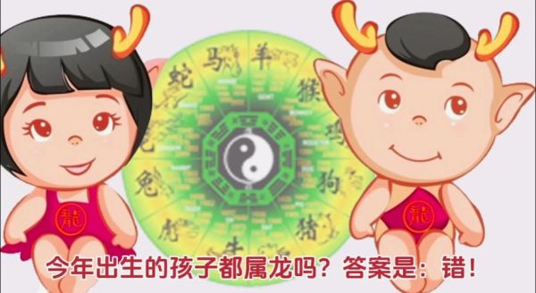 龙年宝宝生肖属相（龙年到底是属什么生肖 🐉？）