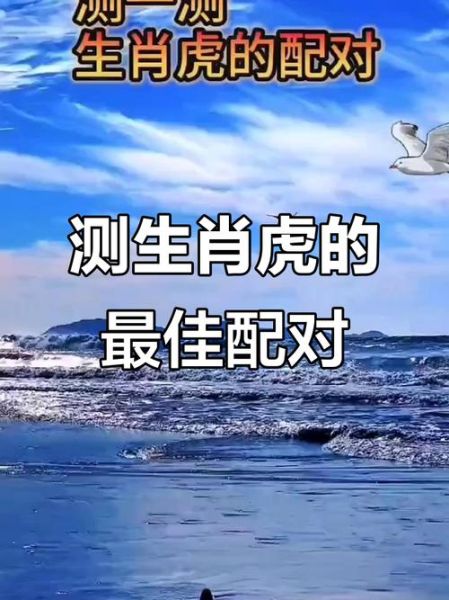 虎生肖相配的属相（虎生肖和什么属相最配）