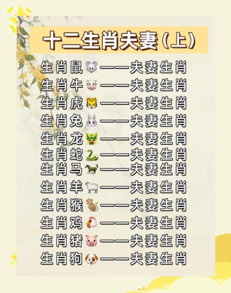 生肖属相老鼠配对（属鼠和什么生肖最配对表💞）