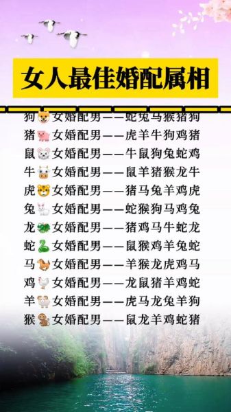 十二生肖属相婚配女(女龙男虎婚配到底合不合?🐉🐯看完秒懂)
