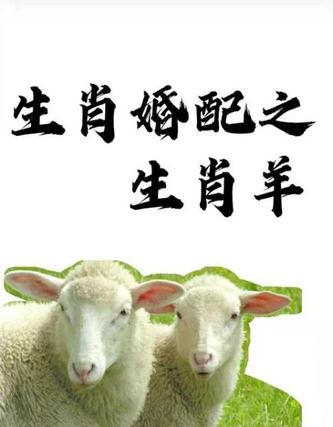 生肖配对属相婚配（生肖羊和什么属相最配 一看就懂😊）