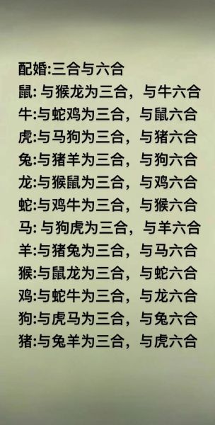 蛇狗属什么生肖属相(蛇狗属什么生肖怎么看)